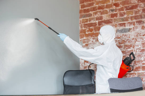 Best Forensic Mold Investigation  in Tok, AK