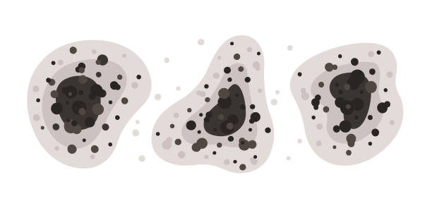 Best Mold-Related Health Consultation  in Tok, AK