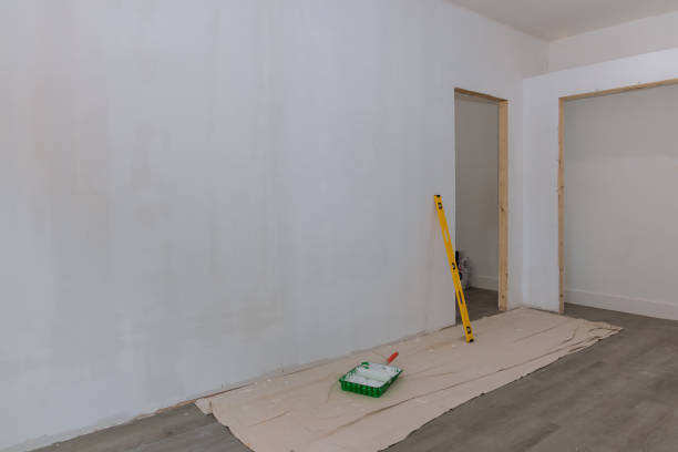Best Mold Damage Restoration  in Tok, AK