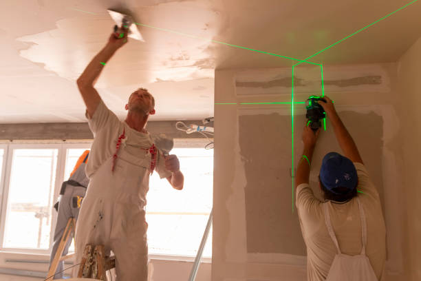 Trusted Tok, AK Mold Removal Experts
