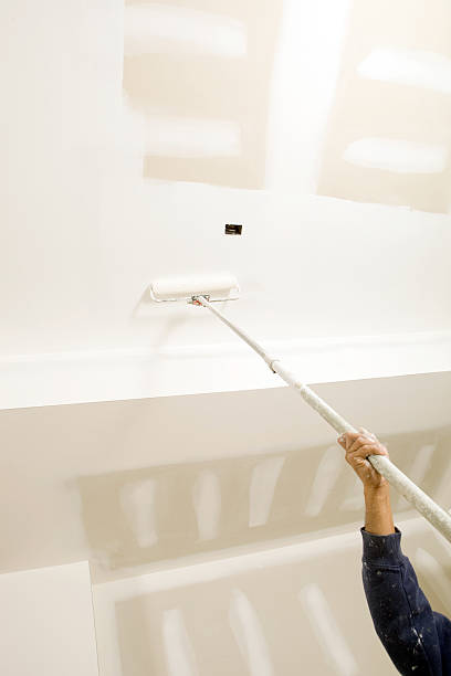 Best Biohazard Mold Removal  in Tok, AK