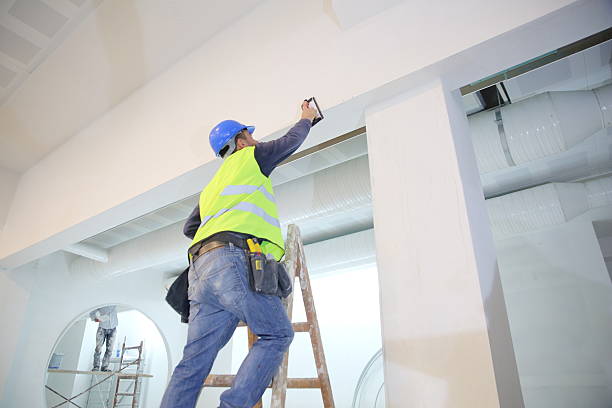 Best Environmental Consulting for Mold Prevention  in Tok, AK