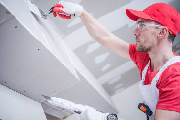 Mold Removal for HVAC Installations in Tok, AK