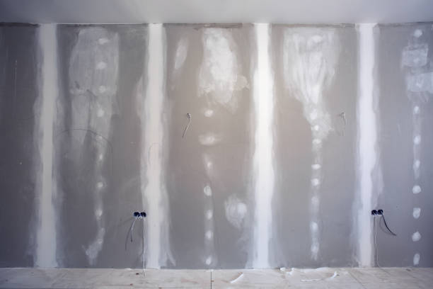 Best Basement Mold Removal  in Tok, AK